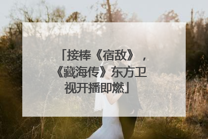 接棒《宿敌》，《藏海传》东方卫视开播即燃