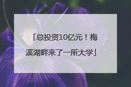 总投资10亿元！梅溪湖畔来了一所大学