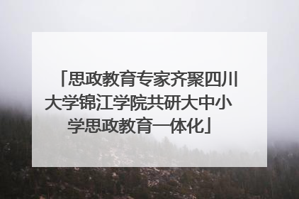 思政教育专家齐聚四川大学锦江学院共研大中小学思政教育一体化