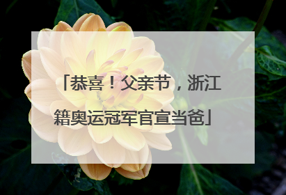 恭喜！父亲节，浙江籍奥运冠军官宣当爸