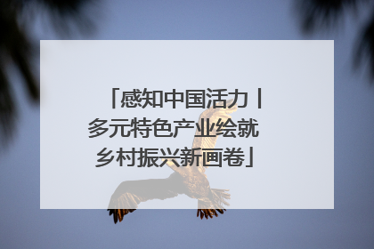 感知中国活力丨多元特色产业绘就乡村振兴新画卷