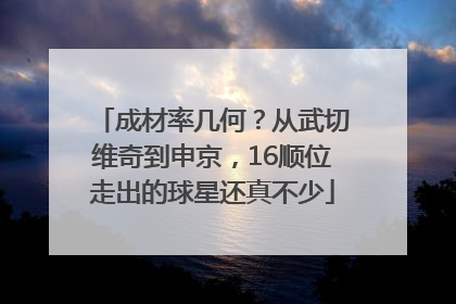成材率几何？从武切维奇到申京，16顺位走出的球星还真不少