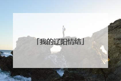 我的辽阳情结