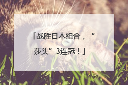 战胜日本组合，“莎头”3连冠！