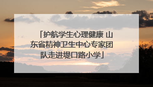 护航学生心理健康 山东省精神卫生中心专家团队走进堤口路小学