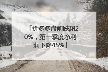拼多多盘前跌超20%，第一季度净利润下降45%