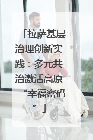 拉萨基层治理创新实践：多元共治激活高原“幸福密码”