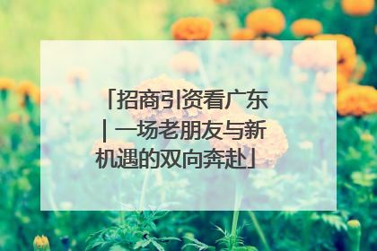 招商引资看广东｜一场老朋友与新机遇的双向奔赴