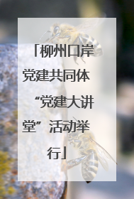 柳州口岸党建共同体“党建大讲堂”活动举行