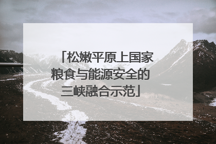 松嫩平原上国家粮食与能源安全的三峡融合示范