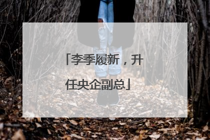 李季履新，升任央企副总
