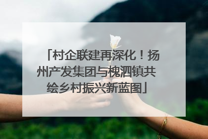 村企联建再深化！扬州产发集团与槐泗镇共绘乡村振兴新蓝图