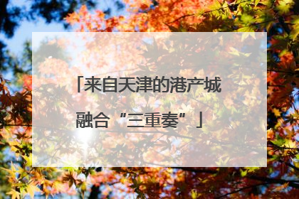 来自天津的港产城融合“三重奏”