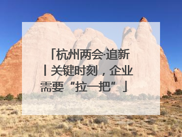 杭州两会·追新丨关键时刻，企业需要“拉一把”
