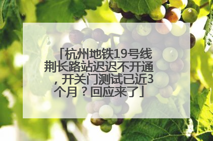杭州地铁19号线荆长路站迟迟不开通，开关门测试已近3个月？回应来了