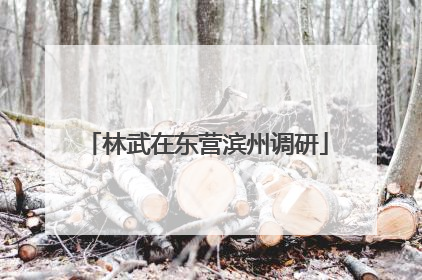 林武在东营滨州调研
