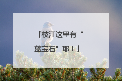 枝江这里有“蓝宝石”耶！