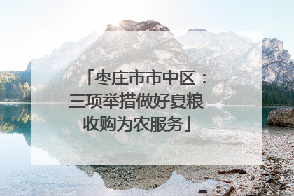 枣庄市市中区：三项举措做好夏粮收购为农服务