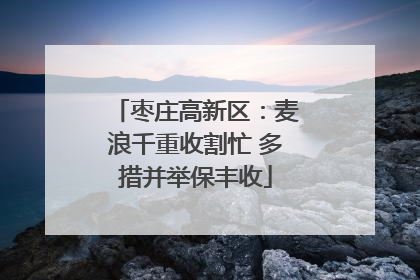 枣庄高新区：麦浪千重收割忙 多措并举保丰收