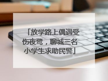 放学路上偶遇受伤夜鹭，聊城三名小学生求助民警