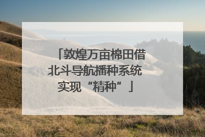 敦煌万亩棉田借北斗导航播种系统实现“精种”