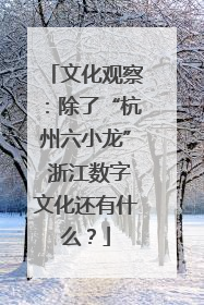 文化观察：除了“杭州六小龙” 浙江数字文化还有什么？