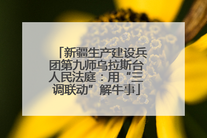 新疆生产建设兵团第九师乌拉斯台人民法庭：用“三调联动”解牛事
