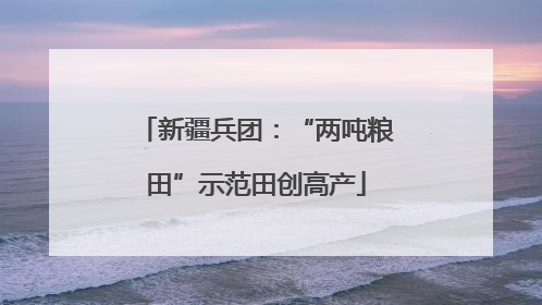 新疆兵团：“两吨粮田”示范田创高产