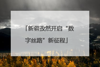 新疆孜然开启“数字丝路”新征程