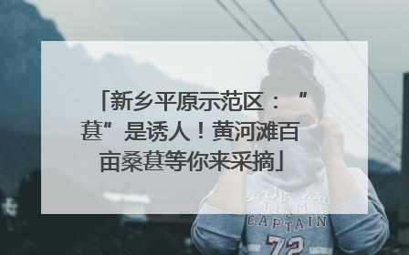 新乡平原示范区：“葚”是诱人！黄河滩百亩桑葚等你来采摘