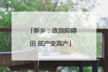 新乡：改良障碍田 低产变高产