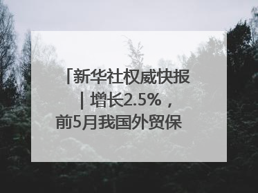 新华社权威快报｜增长2.5%，前5月我国外贸保持较强韧性