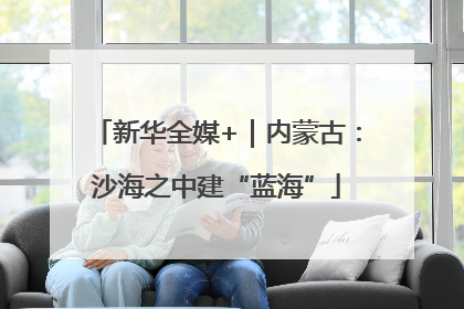 新华全媒+｜内蒙古：沙海之中建“蓝海”