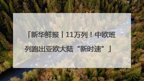 新华鲜报丨11万列！中欧班列跑出亚欧大陆“新时速”