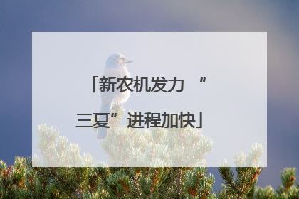 新农机发力 “三夏”进程加快