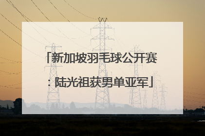 新加坡羽毛球公开赛：陆光祖获男单亚军