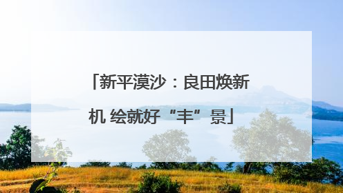 新平漠沙：良田焕新机 绘就好“丰”景