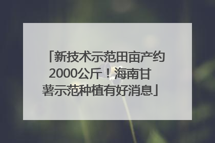 新技术示范田亩产约2000公斤！海南甘薯示范种植有好消息