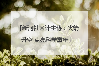 新河社区计生协：火箭升空 点亮科学童年