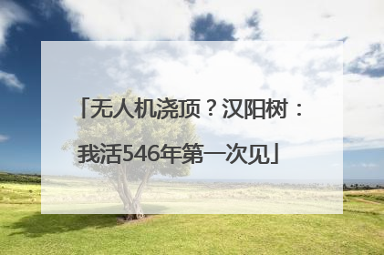 无人机浇顶？汉阳树：我活546年第一次见