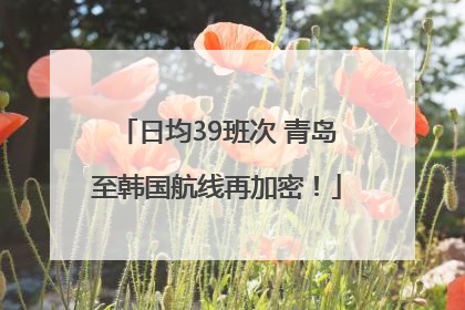 日均39班次 青岛至韩国航线再加密！