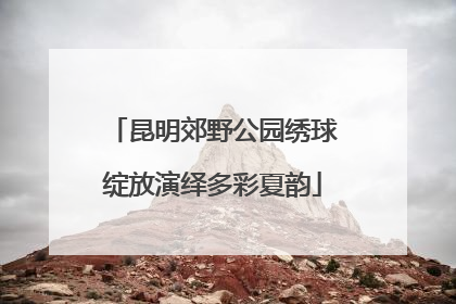 昆明郊野公园绣球绽放演绎多彩夏韵