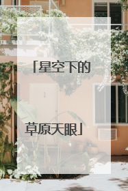 星空下的草原天眼