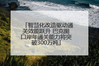 智慧化改造驱动通关效能跃升 巴克图口岸年通关能力将突破300万吨