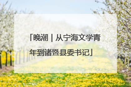 晚潮｜从宁海文学青年到诸暨县委书记