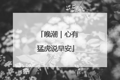 晚潮｜心有猛虎说早安