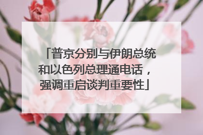 普京分别与伊朗总统和以色列总理通电话，强调重启谈判重要性