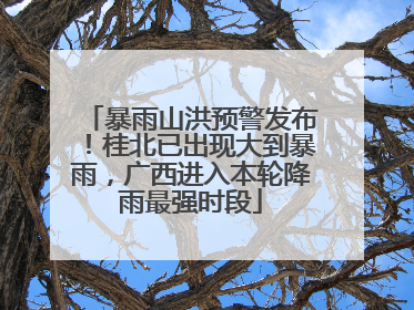 暴雨山洪预警发布！桂北已出现大到暴雨，广西进入本轮降雨最强时段