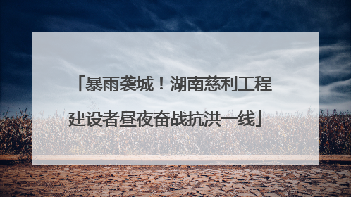 暴雨袭城！湖南慈利工程建设者昼夜奋战抗洪一线