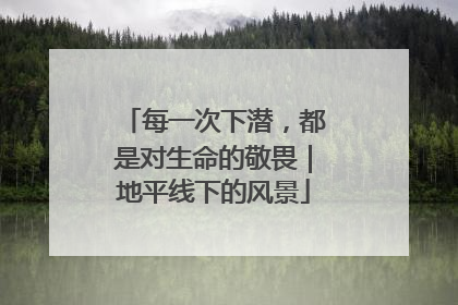 每一次下潜，都是对生命的敬畏｜地平线下的风景